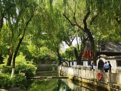 -趵突泉景区