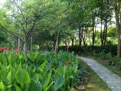 iphone_upload_pic-苏州河梦清园环保主题公园