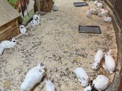 -秦皇岛新澳海底世界