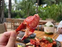 -三亚艾迪逊酒店·海滩烧烤 BARBACOA·现场乐队·浪漫晚餐·烧烤海鲜
