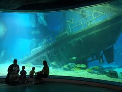 -福州罗源湾海洋世界旅游区