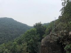-南山植物园