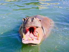 -哈尔滨北方森林动物园