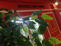-印象莫奈时光映迹艺术展