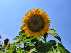 -艾溪湖湿地公园