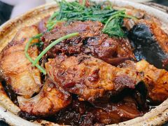 麻辣鲶鱼煲-川香煲(茅台路店)