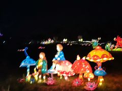 -大塘金香草谷