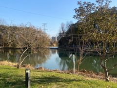 -昆山城市生态森林公园