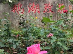 -鹅湖玫瑰文化园
