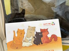 -纳吉亚猫专科动物诊疗中心(蒋宅口分院)