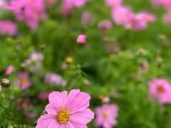 -海心沙亚运公园