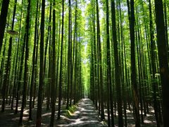 -山王坪喀斯特国家生态公园