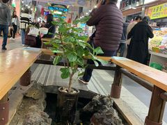 -西归浦每天偶来市场