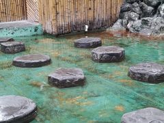 -上海大自然野生昆虫馆(东方明珠·爬宠昆虫探索中心)