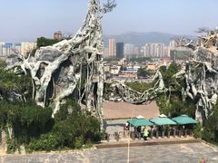 -云南野生动物园