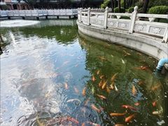 -广东圆玄道观