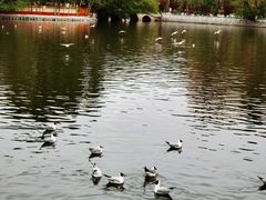 -宗角禄康公园