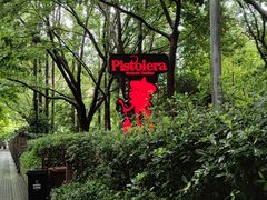 -Pistolera Mexican Cantina女枪手墨西哥餐厅(碧云路店)