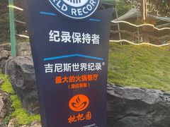 -枇杷园食为鲜火锅(南山店)