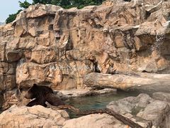 -珠海长隆海洋王国