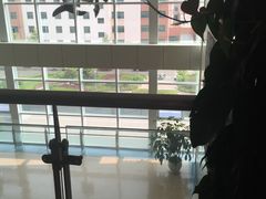 -中国人民解放军海军第九七一医院