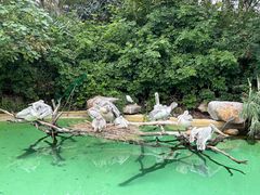 -珠海长隆海洋王国