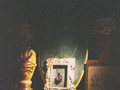 -雪灵魔法世界SHELLY’S TAROT(大良桂畔里店)