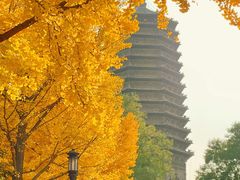 -玲珑塔公园