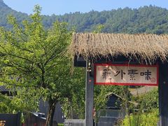 -树山生态村