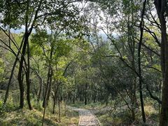 -上海佘山国家森林公园天马山园