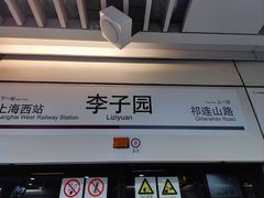 -同济大学(沪西校区)