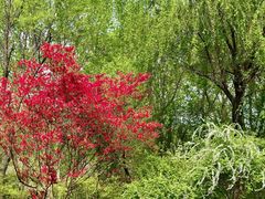 -西湖风景区-江洋畈生态公园