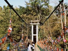 -西双版纳原始森林公园