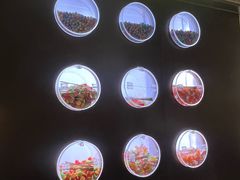 -一绪に和牛寿喜烧(罗湖益田假日店)