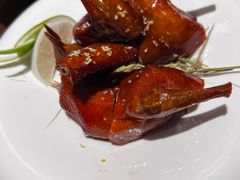 -觅唐MITONG(鸟巢店)