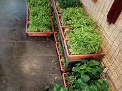 -聚缘堂·海鲜私房菜(松岭路店)