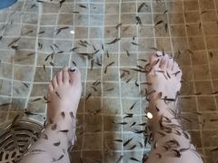 -中家鑫园温泉酒店鑫悦汤泉