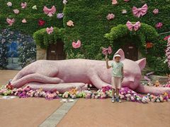 -青岛方特梦幻王国