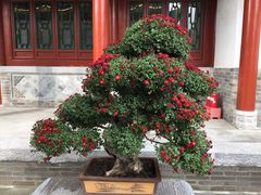 -迎泽公园