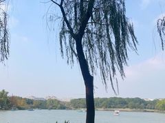 -昆山城市生态森林公园