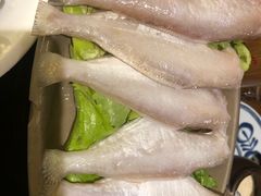 -酒城大贰火锅旗舰店