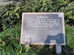 -虎跑公园