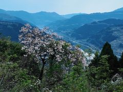 -舒家湾天主教堂