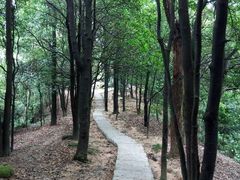 android_upload_pic-火炉山森林公园