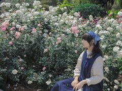 -人民公园(罗湖区)