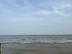 -日照海滨国家森林公园