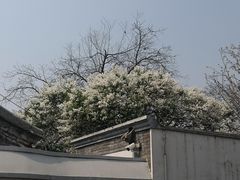 -北京鲁迅博物馆(北京新文化运动纪念馆鲁博馆区)