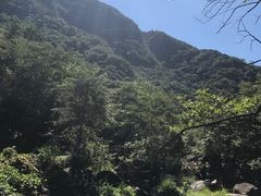 -白云源风景区