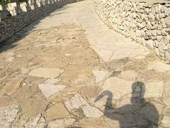 -原山国家森林公园