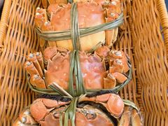 -品鲜村农家菜·阳澄湖大闸蟹(总店)